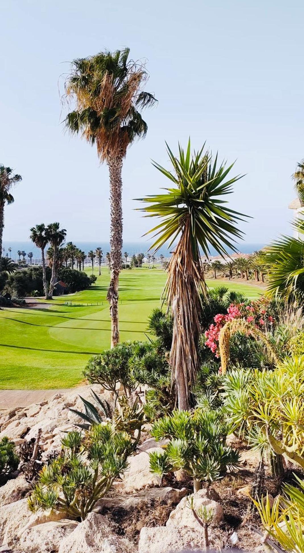 Amarilla Golf Apartman San Miguel de Abona Kültér fotó